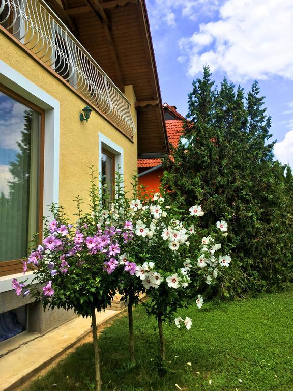 Petra Apartmanhaz Badacsonytomaj Buitenkant foto